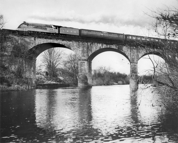 Click for full size image in a pop-up window. Use 'X' to close