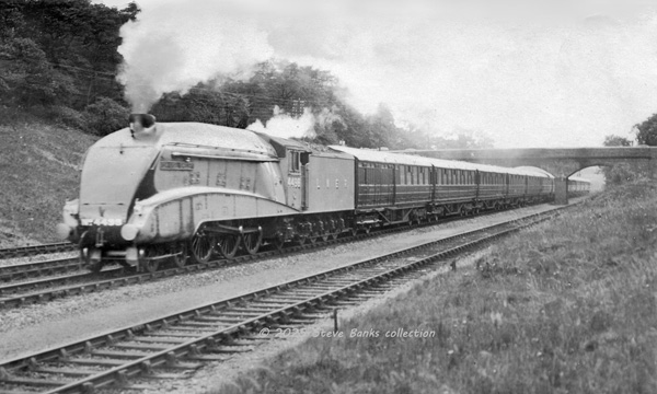 Click for full size image in a pop-up window. Use 'X' to close