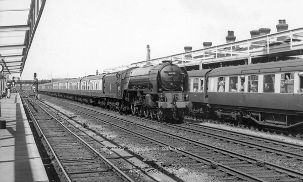 Click for full size image in a pop-up window. Use 'X' to close