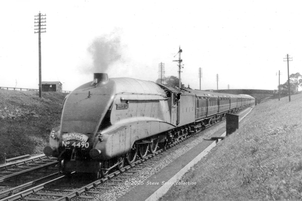 Click for full size image in a pop-up window. Use 'X' to close