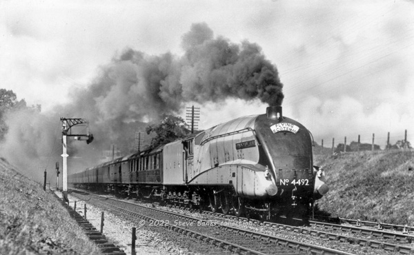 Click for full size image in a pop-up window. Use 'X' to close