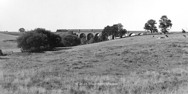 Click for full size image in a pop-up window. Use 'X' to close