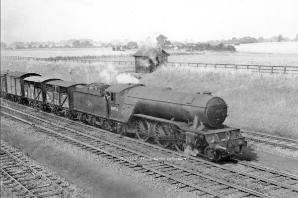 Click for full size image in a pop-up window. Use 'X' to close