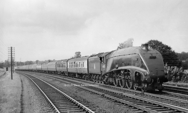 Click for full size image in a pop-up window. Use 'X' to close