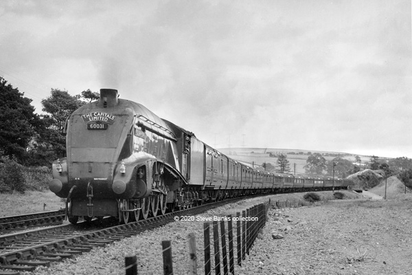 Click for full size image in a pop-up window. Use 'X' to close