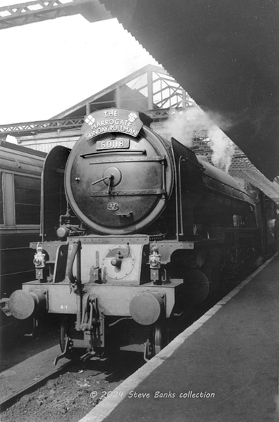 Click for full size image in a pop-up window. Use 'X' to close