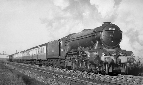 Click for full size image in a pop-up window. Use 'X' to close