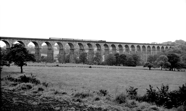 Click for full size image in a pop-up window. Use 'X' to close