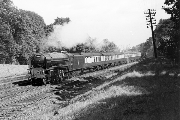 Click for full size image in a pop-up window. Use 'X' to close