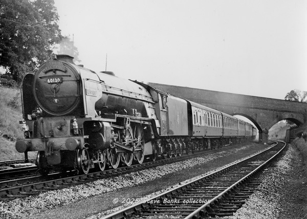 Click for full size image in a pop-up window. Use 'X' to close