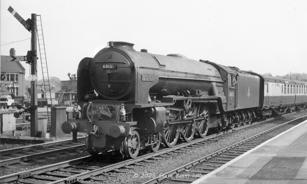 Click for full size image in a pop-up window. Use 'X' to close